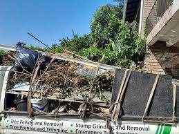 Best Attic Cleanout  in Atlantic Beach, FL